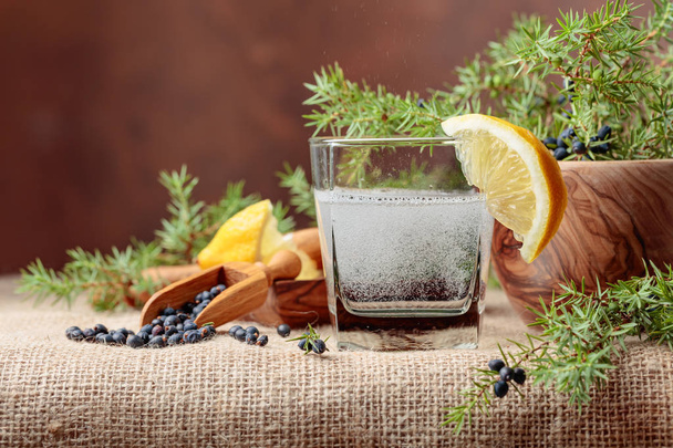 Cocktail-Gin, Tonic mit Zitrone und einem Zweig Wacholder mit Beeren. Kopierraum für Ihren Text. - Foto, Bild