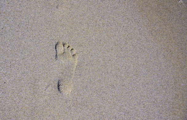 Footprint in the sand near the sea the toes and heel - Φωτογραφία, εικόνα