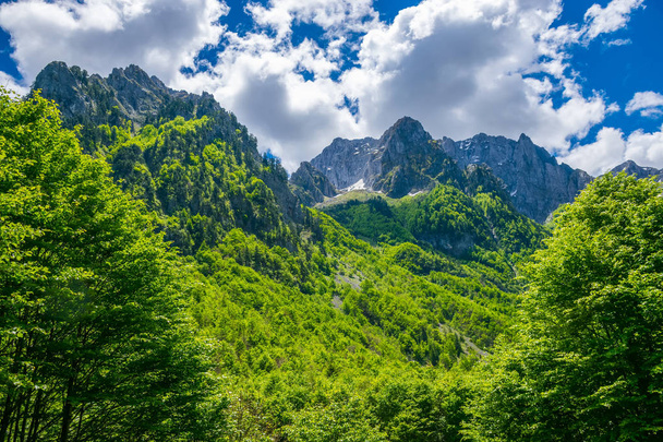 Живописный вид заснеженных вершин высоких гор
 - Фото, изображение