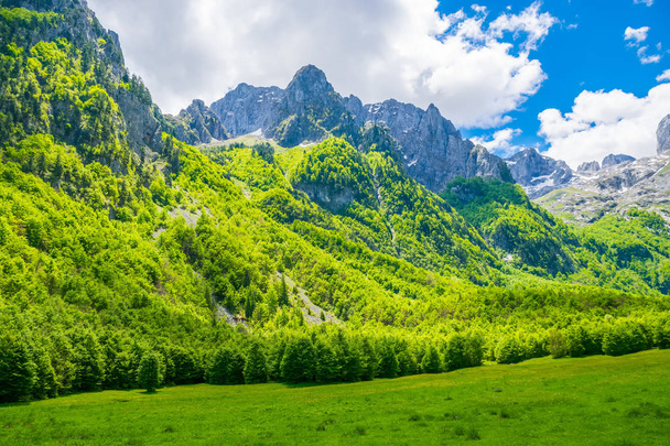 Pintorescos prados y bosques entre altas montañas
 - Foto, Imagen