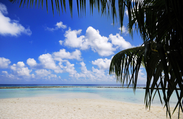 Escena de playa - Foto, imagen