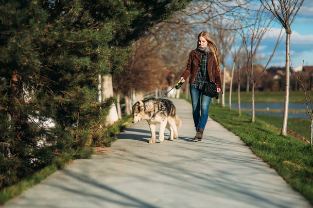 Jeune femme marchant avec son chien. Femme aux cheveux blonds élégant avec chien husky
 - Photo, image