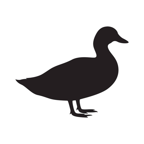 Podepsat kachna. Izolovaná černá silueta kachna na bílém pozadí. Vektorové ilustrace - Vektor, obrázek