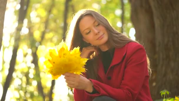 Όμορφο κορίτσι που κάθεται στο δάσος το φθινόπωρο και συλλέγει ένα μπουκέτο από φύλλα σφενδάμου κίτρινο - Πλάνα, βίντεο