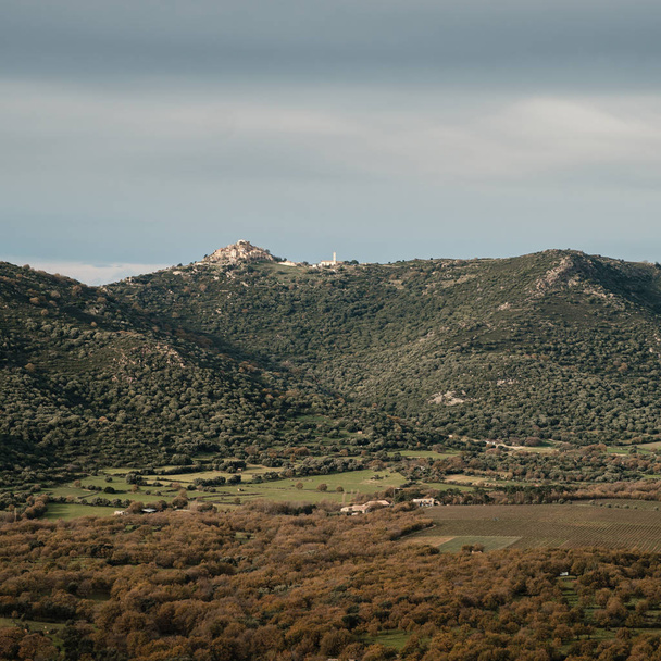 Viñedos, bosques y maquis en el valle debajo de la antigua aldea de Sant Antonino en la región de Balagne de Córcega
 - Foto, Imagen