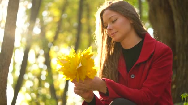 Güzel kız sonbahar ormanda oturur ve bir buket sarı akçaağaç yaprakları toplar. Ağır çekim - Video, Çekim