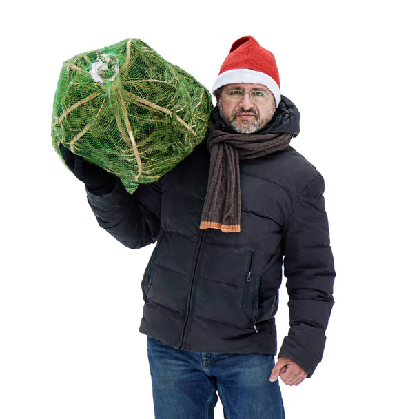 Middle aged man wearing a red Santa hat carries on his shoulder a Christmas tree packed in a grid just bought at the Christmas market on New Year Eve isolated on white background. - Zdjęcie, obraz