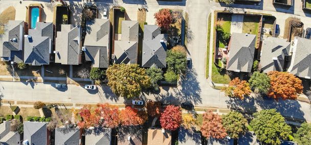 Panorama top view residential houses with swimming pool and colorful fall foliage suburban Dallas, Texas, USA. Straight down look as satellite style. - Photo, Image