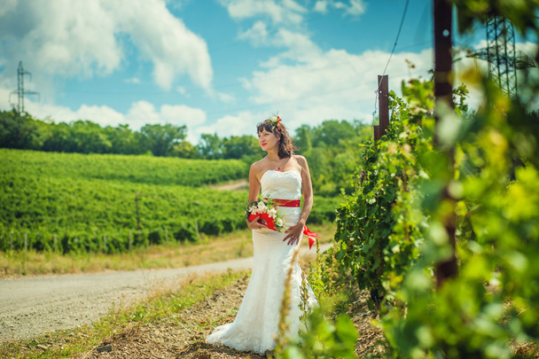 Bride near vineyards - Fotó, kép