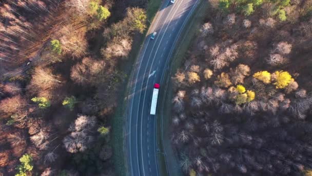 Uitzicht vanaf de hoogte van het verkeer op de weg omringd door herfst bos - Video