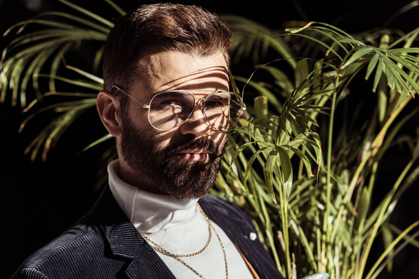 όμορφος γενειοφόρος άνδρας με γυαλιά σκιές στο πρόσωπό και φυτών που απομονώνονται σε μαύρο - Φωτογραφία, εικόνα