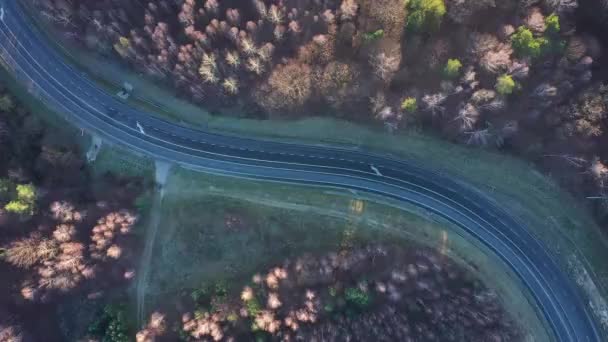 Blick von der Höhe des Verkehrs auf der Straße, umgeben von herbstlichem Wald - Filmmaterial, Video