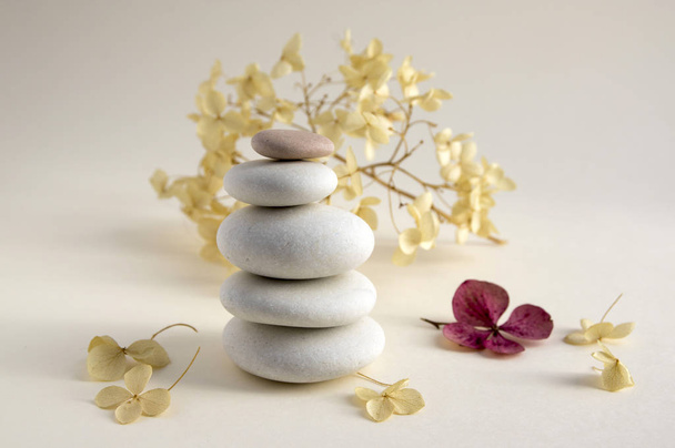 Harmony and balance, cairns, simple poise stones on white background, rock zen sculpture, five white pebbles, single tower, simplicity, dry hydrangea white and red flower - Photo, image