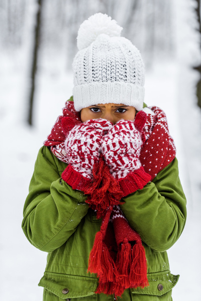 frozen african american child in knitted hat, mittens and scarf looking at camera in winter park - Photo, Image