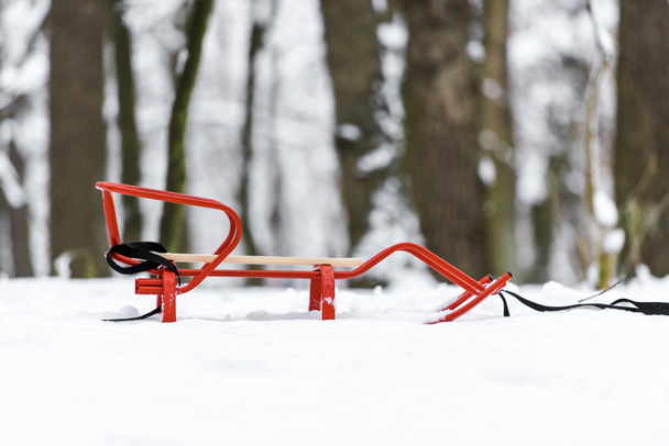 trineo rojo en la nieve con árboles en el fondo
 - Foto, Imagen