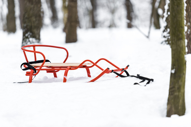 red metal sledge on snow in winter park - Foto, afbeelding