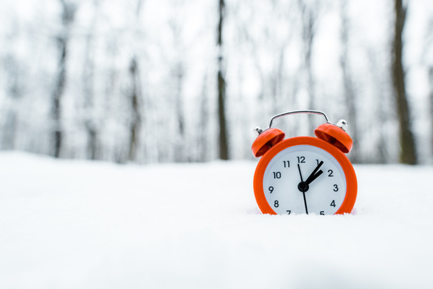 red retro clock standing on white snow near trees in snowy forest - Photo, Image