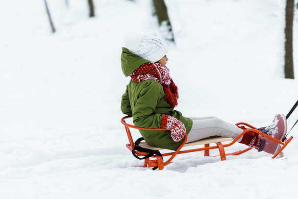 cute african american child riding on sleigh in park in snowy forest - Foto, immagini