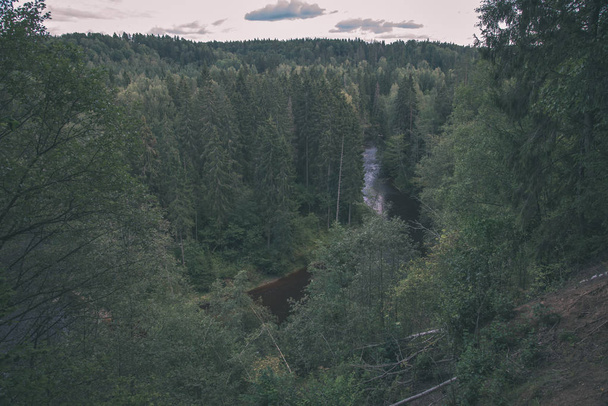 Yaz aylarında yeşil orman ile Letonya Amata Nehri - Fotoğraf, Görsel