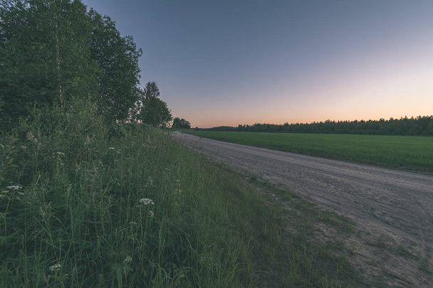 tyhjä tie, jossa suuret puut molemmin puolin, Latvia
 - Valokuva, kuva