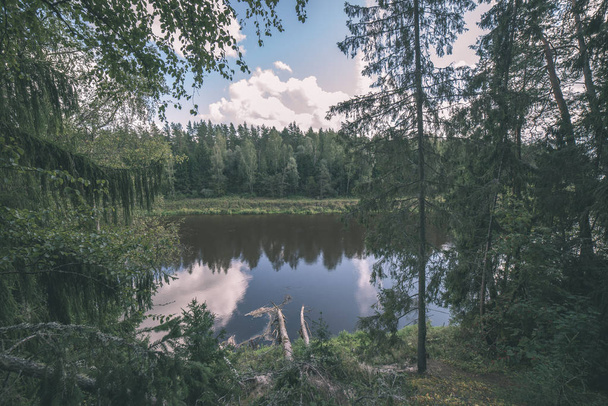scenic view of green forest with river in Latvia - Fotó, kép
