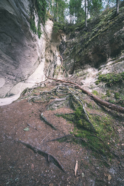червоного пісковика скелі з туристська стежка в Латвії - Фото, зображення