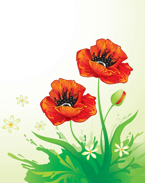 Natural background with poppy - Vector, Image