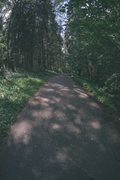 γραφική θέα τουριστικές περπατώντας το μονοπάτι στο καταπράσινο δάσος - Φωτογραφία, εικόνα