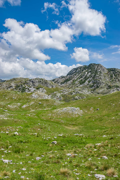 Picturesque view of high mountains in north of Montenegro in National Park Durmitor - Φωτογραφία, εικόνα