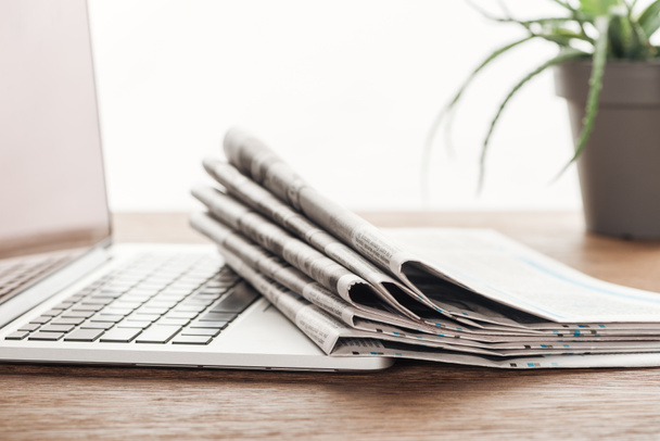 laptop, plant and stack of newspapers on wooden tabletop - Photo, Image