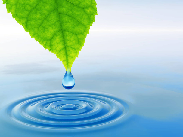 Концепція або концептуальна чиста весняна вода або роса падають з зеленого свіжого листа на 3D ілюстрації блакитна прозора вода робить хвилі
 - Фото, зображення