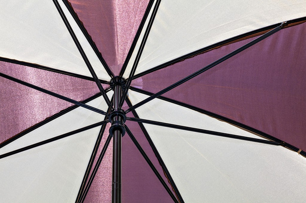 Opened umbrella - Fotografie, Obrázek