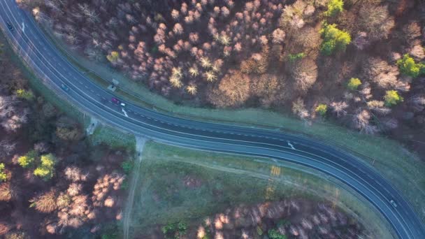 Vista desde la altura del tráfico en la carretera rodeada de bosque de otoño
 - Metraje, vídeo