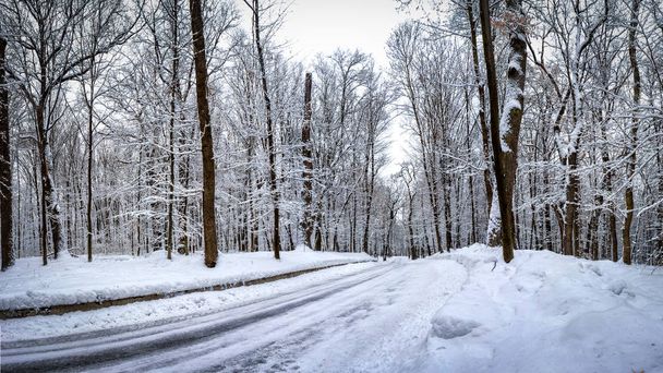 la route dans la forêt d'hiver et les arbres dans la neige sur un fond nuageux
 - Photo, image