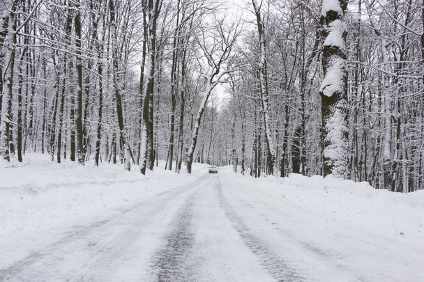 το δρόμο στο δάσος του χειμώνα και δέντρα στο χιόνι με φόντο συννεφιασμένη μέρα - Φωτογραφία, εικόνα