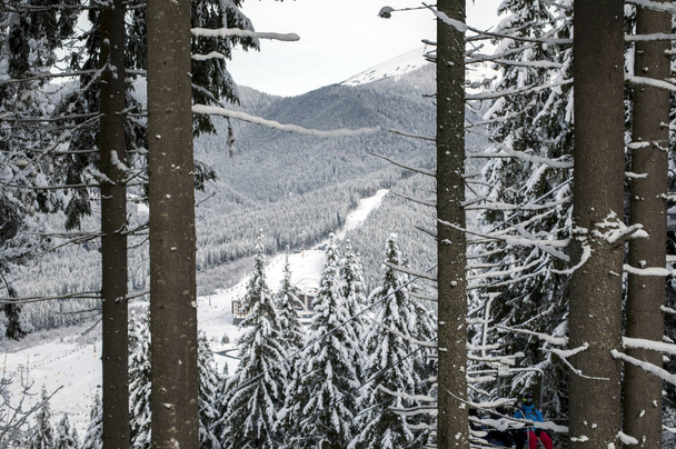 station de ski en Décembre, le thème des sports de montagne, ski, Bukovel, Carpates, Ukraine
 - Photo, image