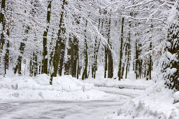 die Straße im Winterwald und Bäume im Schnee an einem bewölkten Tag Hintergrund - Foto, Bild