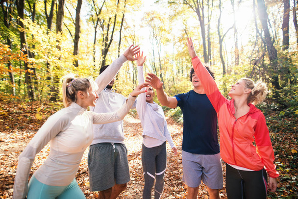 Happy group of runners smiling and stacking hands while standing in woods in autumn. - Foto, afbeelding