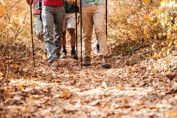 Close up van wandelaars benen lopen door bos. Herfst tijd. - Foto, afbeelding