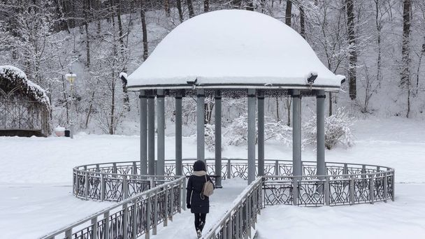 Sneeuw bedekte prieel met een metalen brug in het midden van een meer in het park Winter achtergrond - Foto, afbeelding