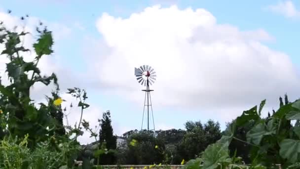 Single wind turbine spins around generating energy on green field in St Paul Malta - Footage, Video
