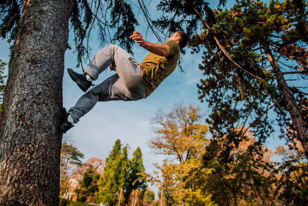 Fitness guy doing parkour workout while running through the tree - Zdjęcie, obraz