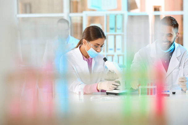 Young scientists working in laboratory. Chemical analysis - Valokuva, kuva