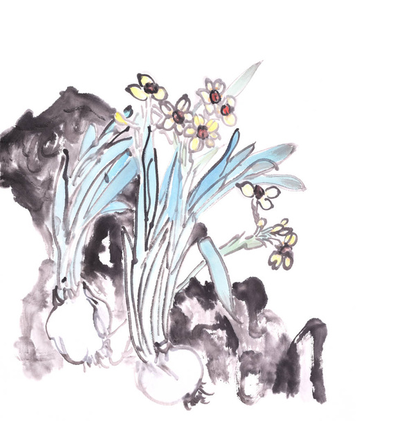 Traditional chinese ink and wash painting of daffodils - Photo, Image
