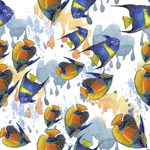Acuarela acuática subacuática colorido conjunto de peces tropicales. Juego de ilustración en acuarela. Acuarela dibujo moda acuarela aislado. Patrón de fondo sin costuras. Textura de impresión de papel pintado de tela
. - Foto, imagen
