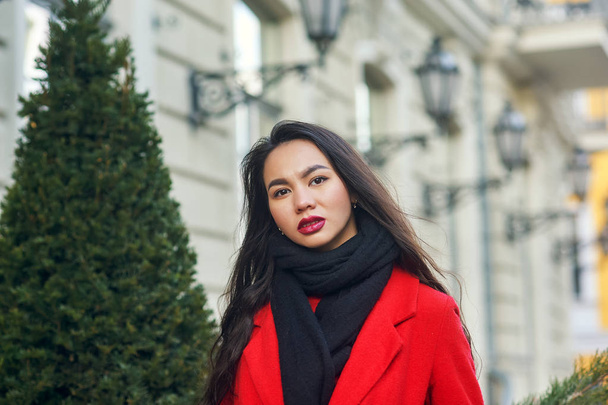 Portrait of a young beautiful fashionable woman in a red coat . Model posing on a city street - Foto, Bild
