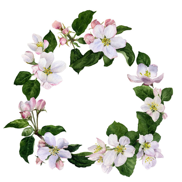 рамка яблочные цветы и почки с зелеными листьями руки окрашены в акварель изолированы на белом фоне
 - Фото, изображение