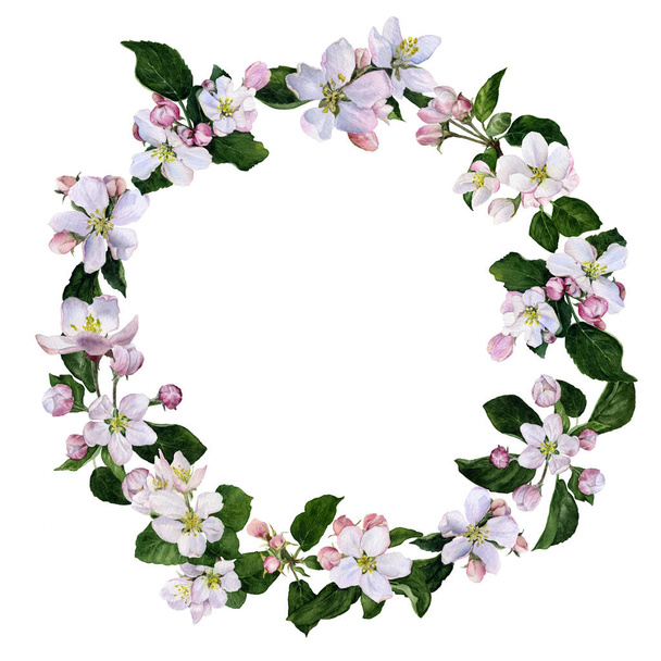 Rama apple kwiaty i pąki zielone liście ręcznie malowane w akwarela na białym tle na białym tle - Zdjęcie, obraz