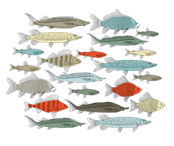 Fish collection, sketch for your design. Vector illustration - Vektör, Görsel