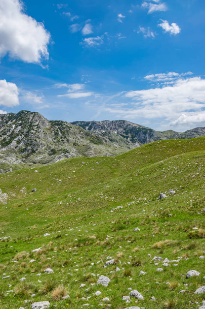 Picturesque view of high mountains in north of Montenegro in National Park Durmitor - Photo, Image